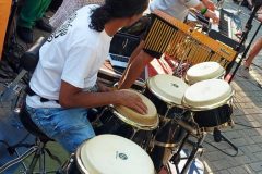 Siblik Musikaufführung